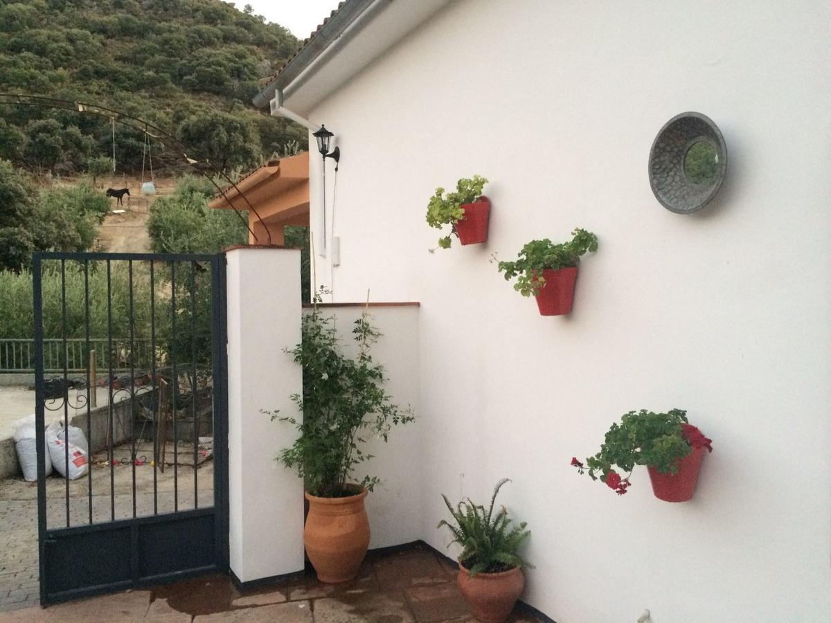 Villa La Quinta Priego de Córdoba Eksteriør billede