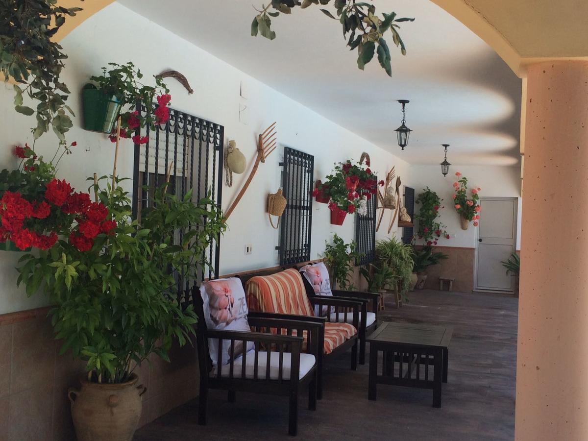 Villa La Quinta Priego de Córdoba Eksteriør billede