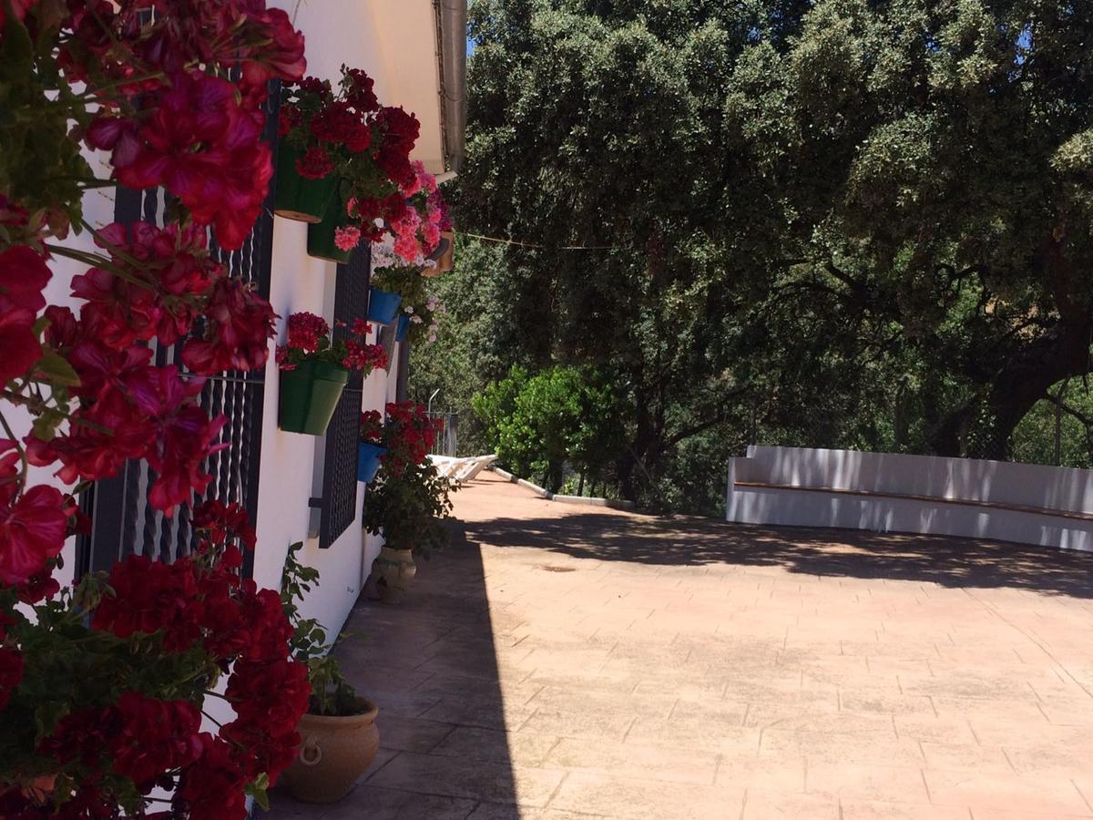 Villa La Quinta Priego de Córdoba Eksteriør billede