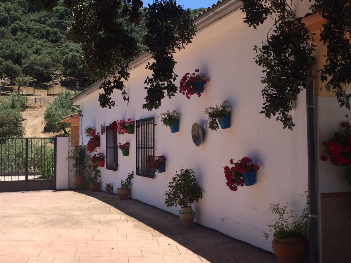 Villa La Quinta Priego de Córdoba Eksteriør billede