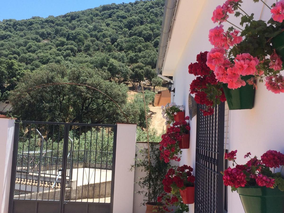 Villa La Quinta Priego de Córdoba Eksteriør billede