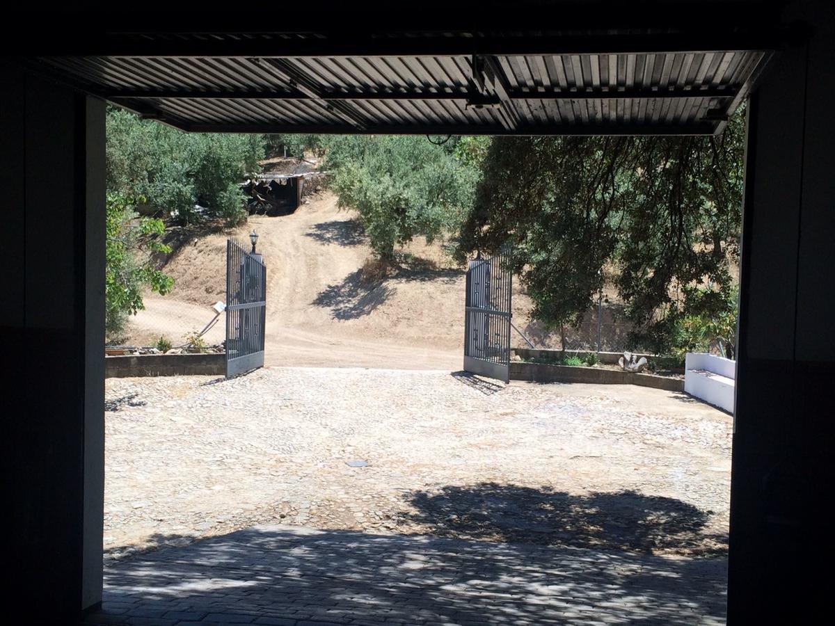 Villa La Quinta Priego de Córdoba Eksteriør billede
