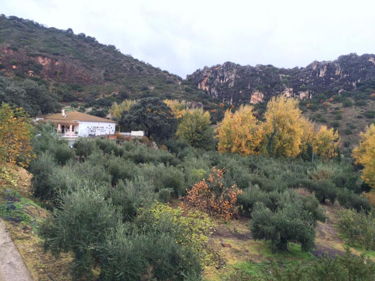 Villa La Quinta Priego de Córdoba Eksteriør billede