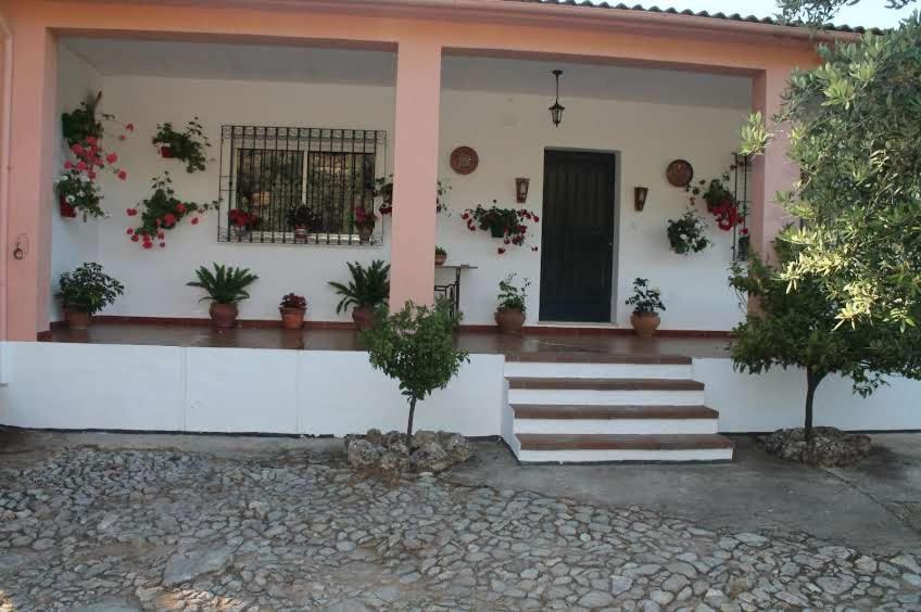 Villa La Quinta Priego de Córdoba Eksteriør billede